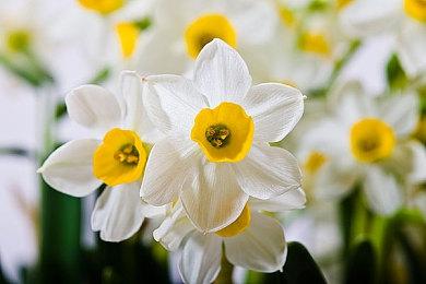 《百英雄传》故事DLC细节公布 首个DLC预计8月推出